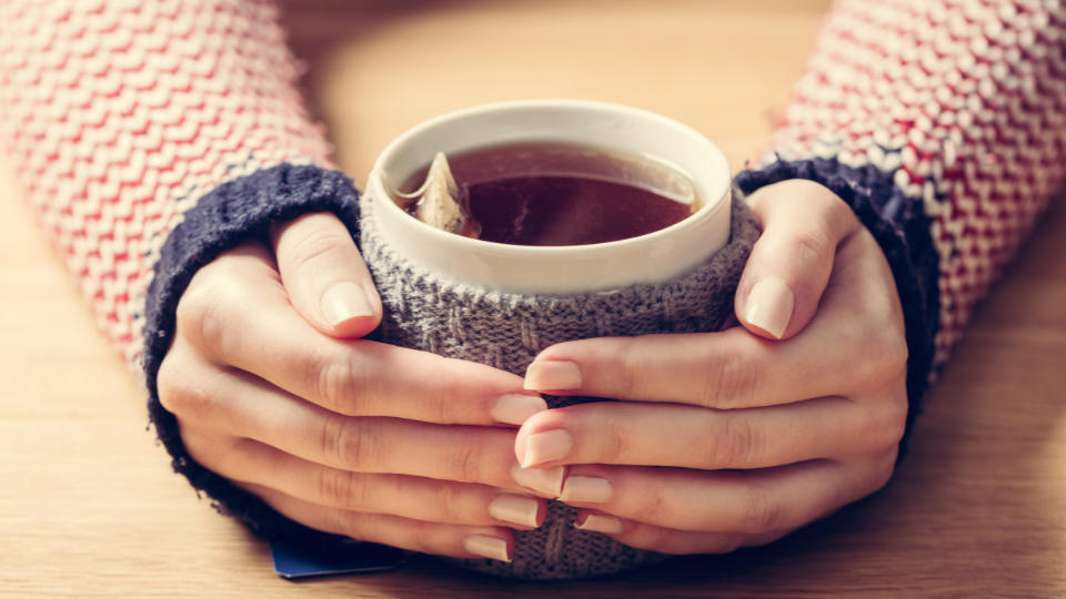 A Beginner's Guide to Tea