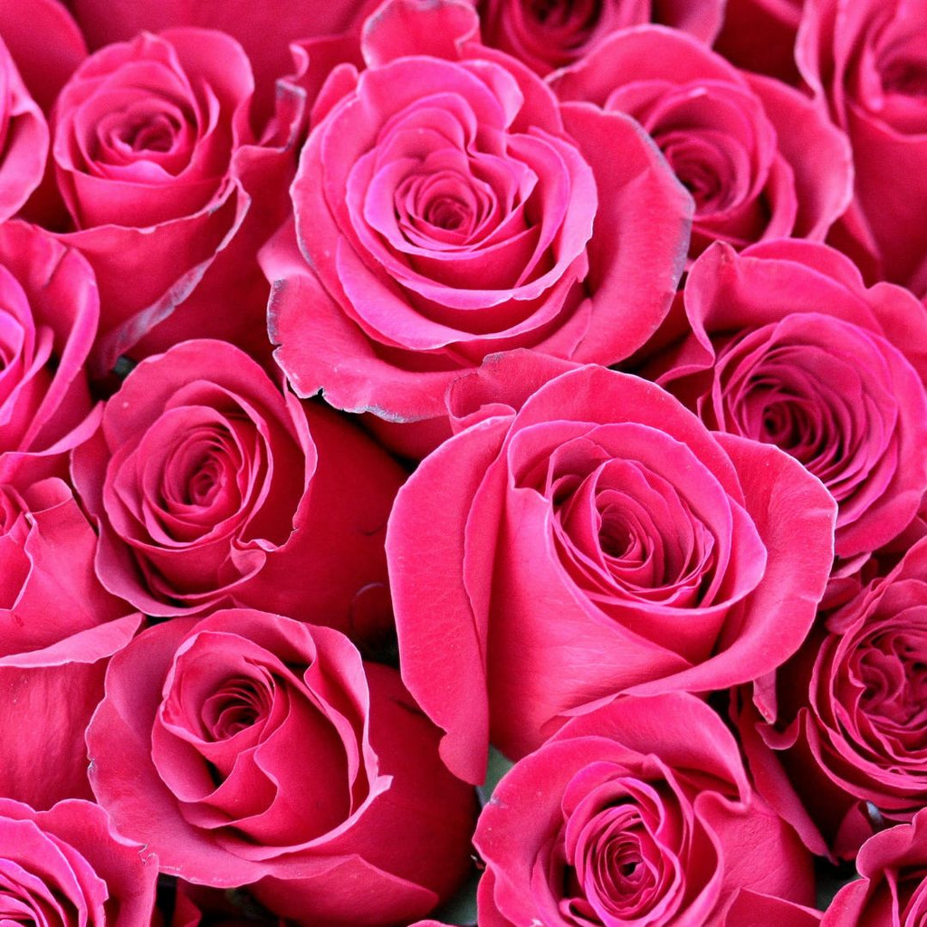 Safe Work Roses Cutting Roses at Work – My Cup of Tea Memphis